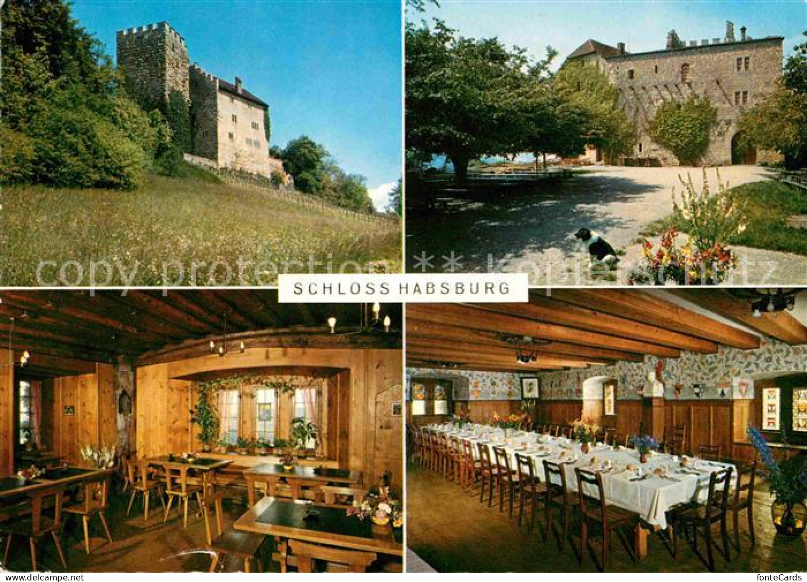 12727049 Habsburg Schloss Ausflugsziel Restaurant Habsburg - Sonstige & Ohne Zuordnung