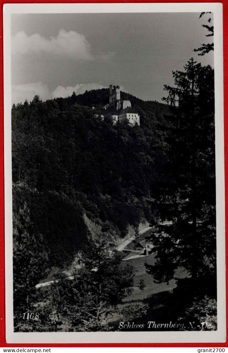 Schloß Thernberg N.Oe.1934 - Autres & Non Classés