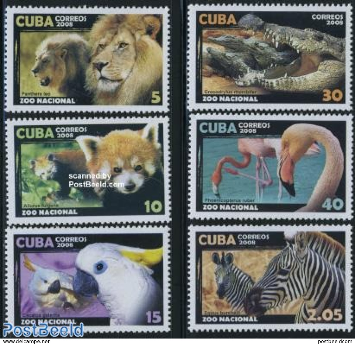 Cuba 2008 National Zoo 6v, Mint NH, Nature - Animals (others & Mixed) - Birds - Cat Family - Crocodiles - Parrots - Re.. - Ungebraucht