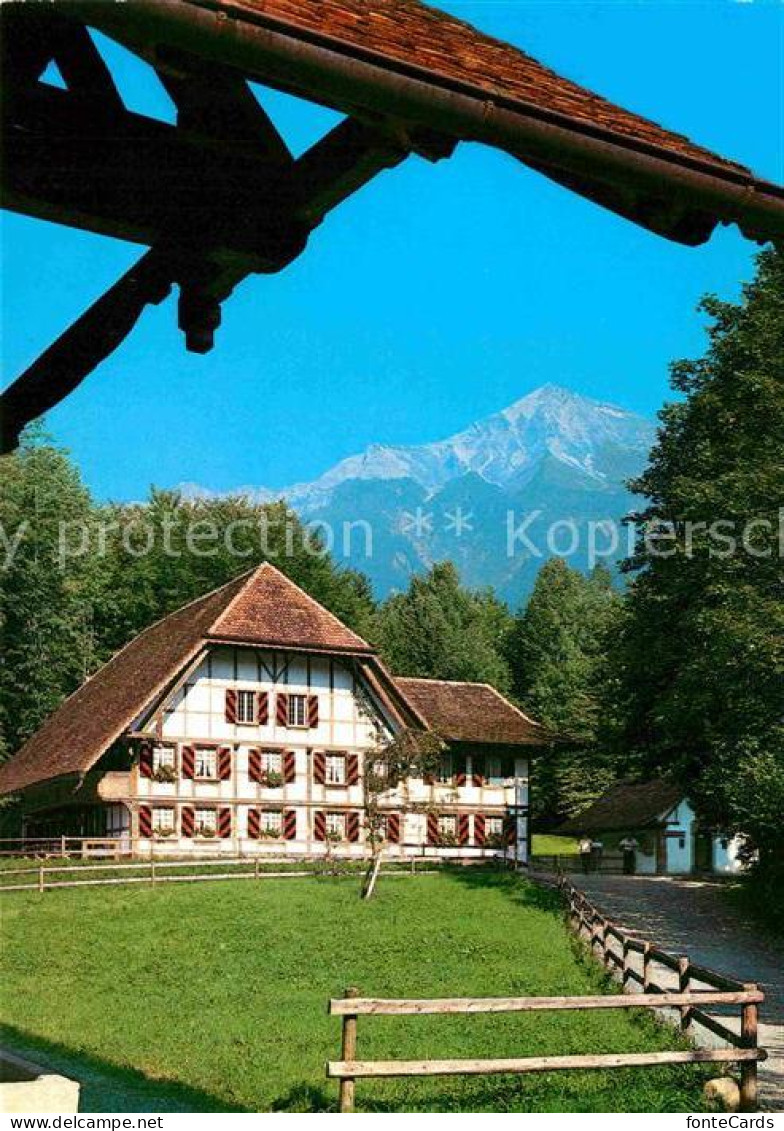 12724207 Rapperswil BE Ballenberg Freilichtmuseum Museumsgaststaette Alpen Rappe - Autres & Non Classés