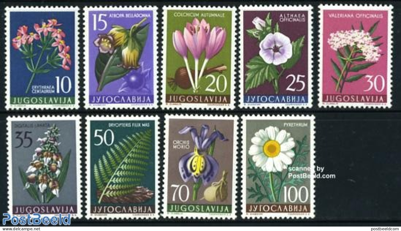 Yugoslavia 1957 Flowers 9v, Mint NH, Nature - Flowers & Plants - Ungebraucht