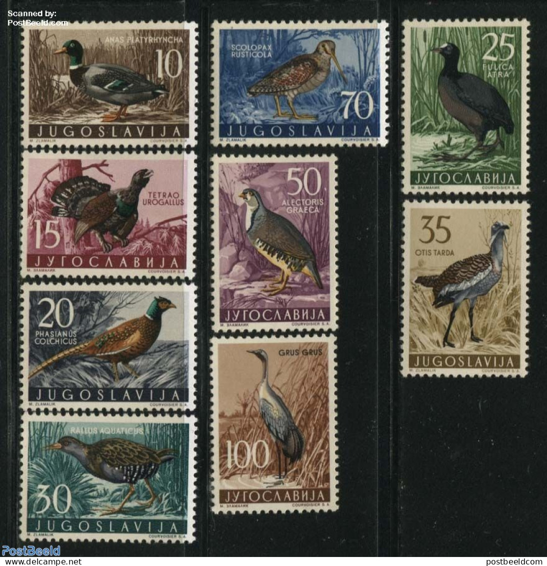 Yugoslavia 1958 Birds 9v, Mint NH, Nature - Birds - Ducks - Poultry - Unused Stamps