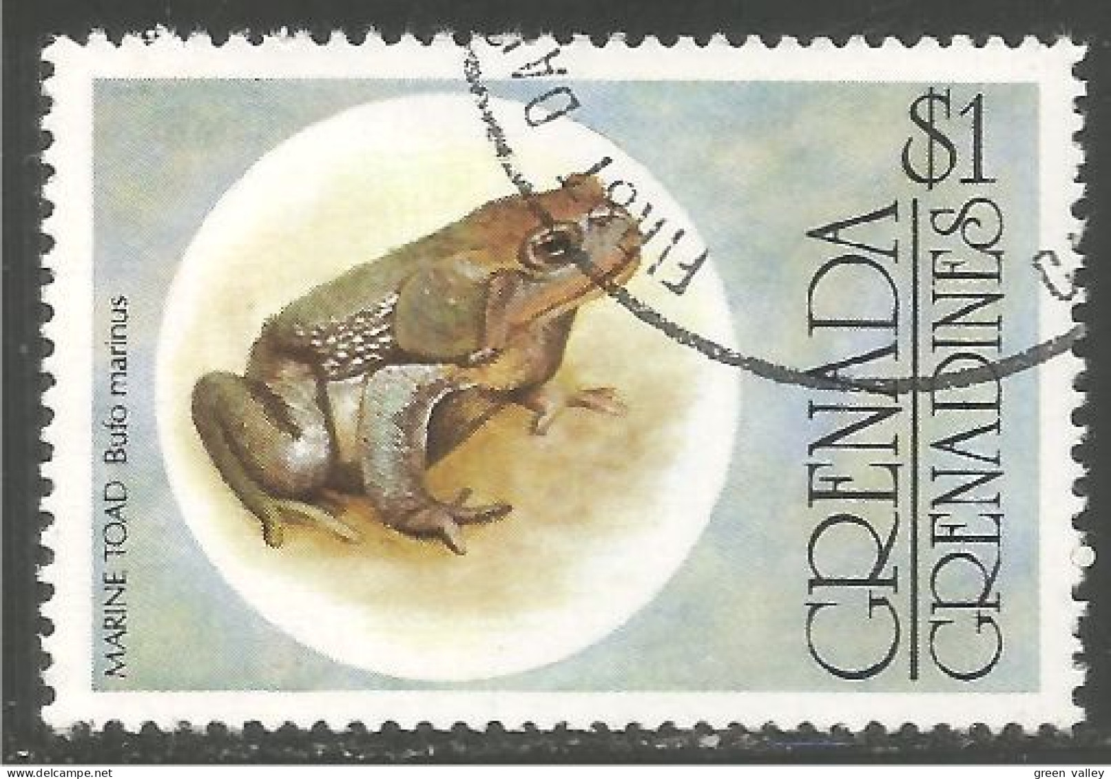 RP-15a Grenada Grenouille Frog Rana Kikker Frosch - Frösche