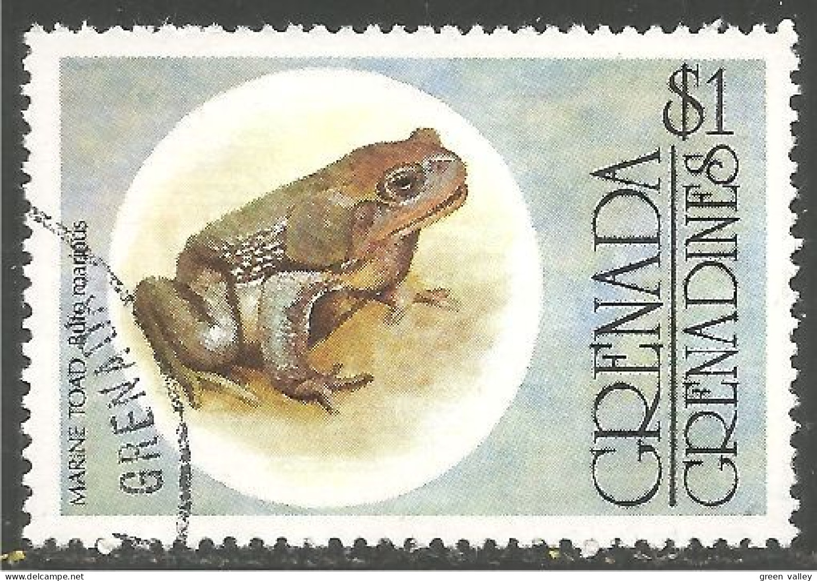 RP-15b Grenada Grenouille Frog Rana Kikker Frosch - Frösche