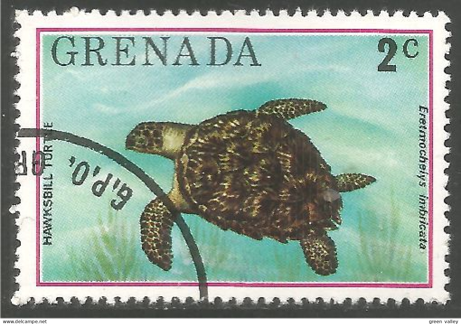 RP-14c Grenada Tortue Flatback Turtle Tortuga Schildkröte Zeeschildpad Tartaruga - Turtles