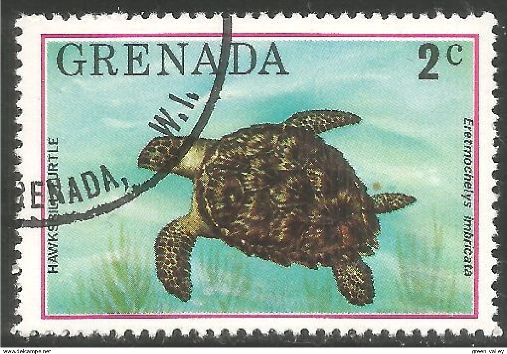 RP-14a Grenada Tortue Flatback Turtle Tortuga Schildkröte Zeeschildpad Tartaruga - Schildpadden