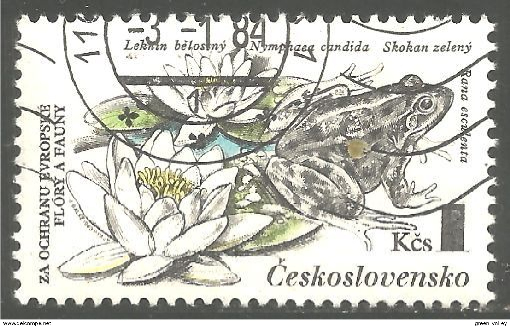 RP-18 Ceskoslovensko Grenouille Frog Rana Kikker Frosch - Rane