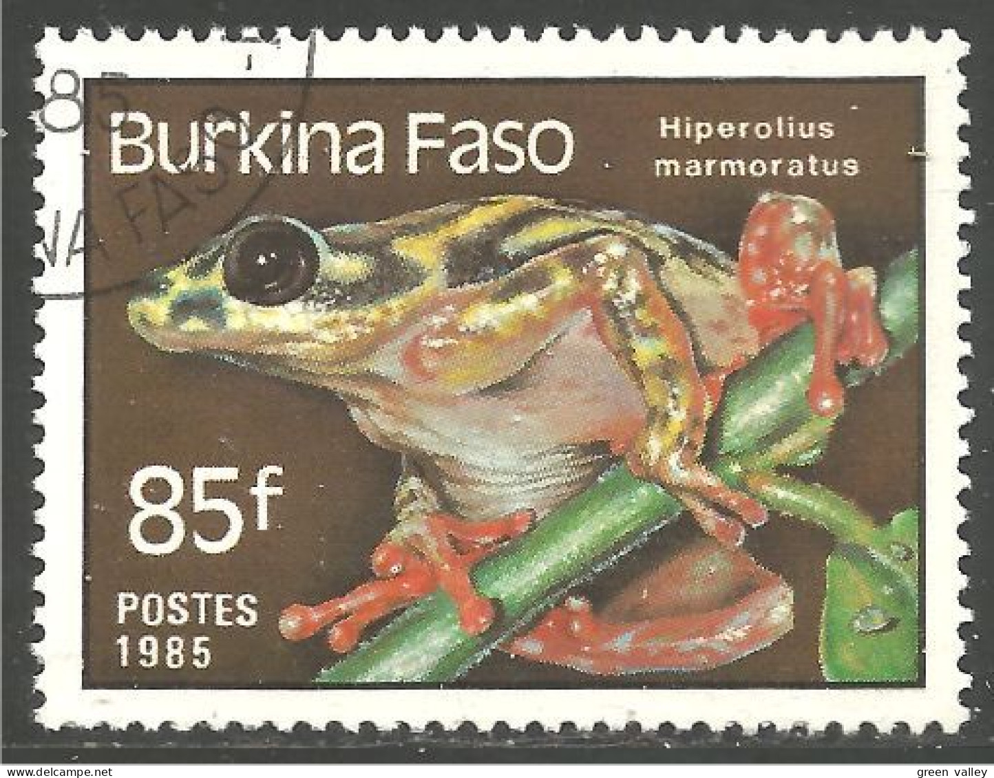 RP-17 Burkina Faso Grenouille Frog Rana Kikker Frosch - Frösche