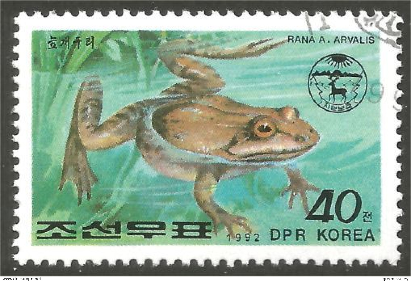 RP-9 Corée Grenouille Frog Rana Kikker Frosch - Rane