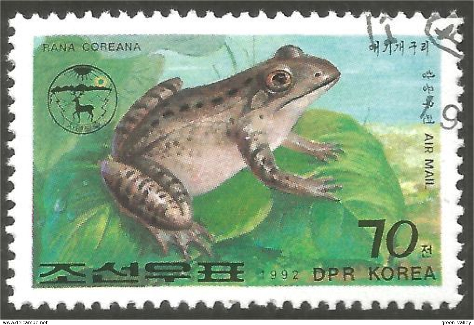 RP-6 Corée Grenouille Frog Rana Kikker Frosch - Frogs