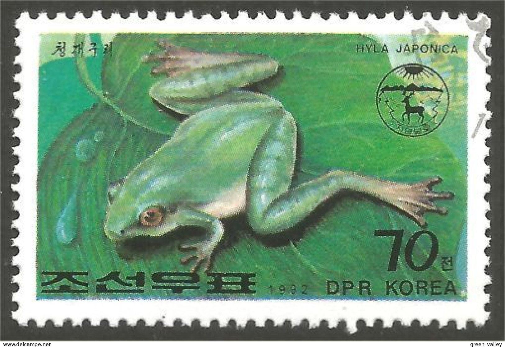 RP-5 Corée Grenouille Frog Rana Kikker Frosch - Frösche