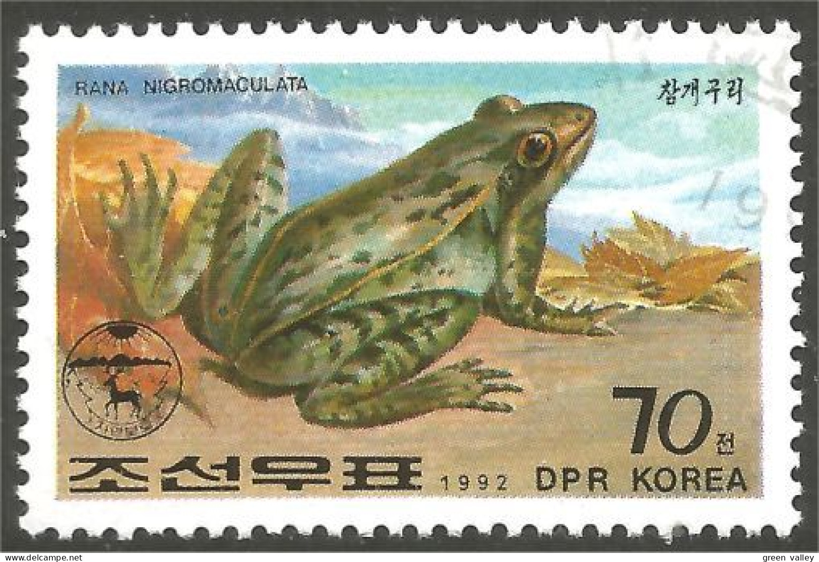 RP-7 Corée Grenouille Frog Rana Kikker Frosch - Ranas