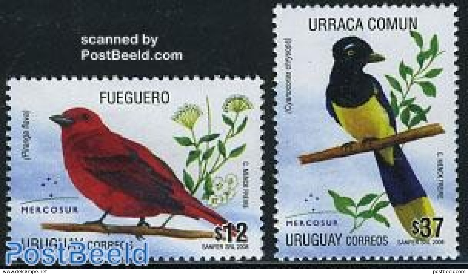 Uruguay 2008 Mercosur, Birds 2v, Mint NH, Nature - Birds - Uruguay