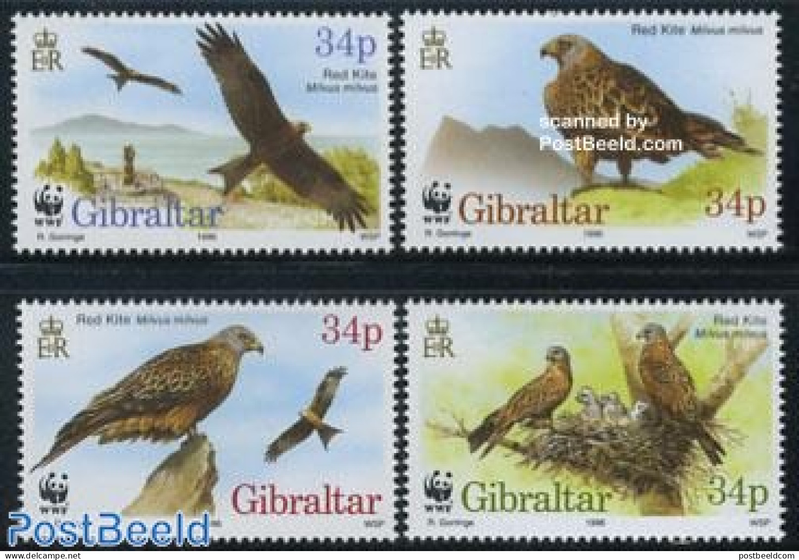 Gibraltar 1996 WWF Birds 4v, Mint NH, Nature - Birds - World Wildlife Fund (WWF) - Gibraltar
