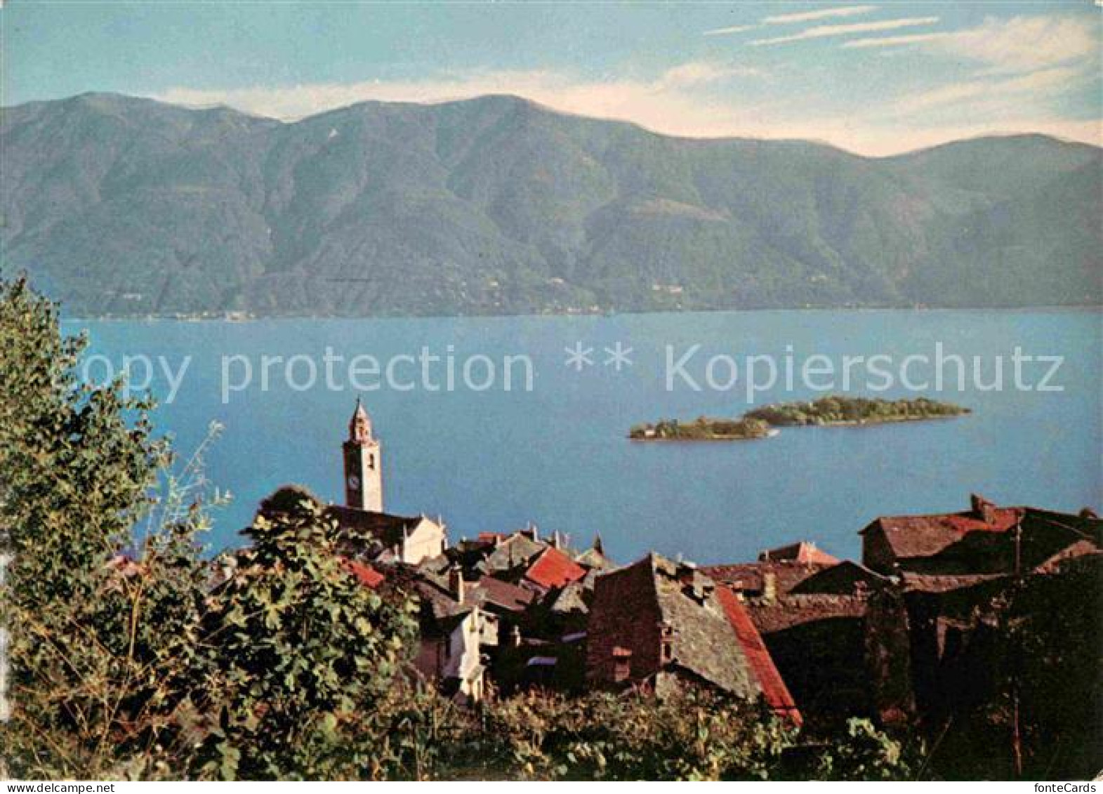 12719899 Ronco Sopra Ascona Panorama Lago Maggiore Alpen Ronco Sopra Ascona - Andere & Zonder Classificatie