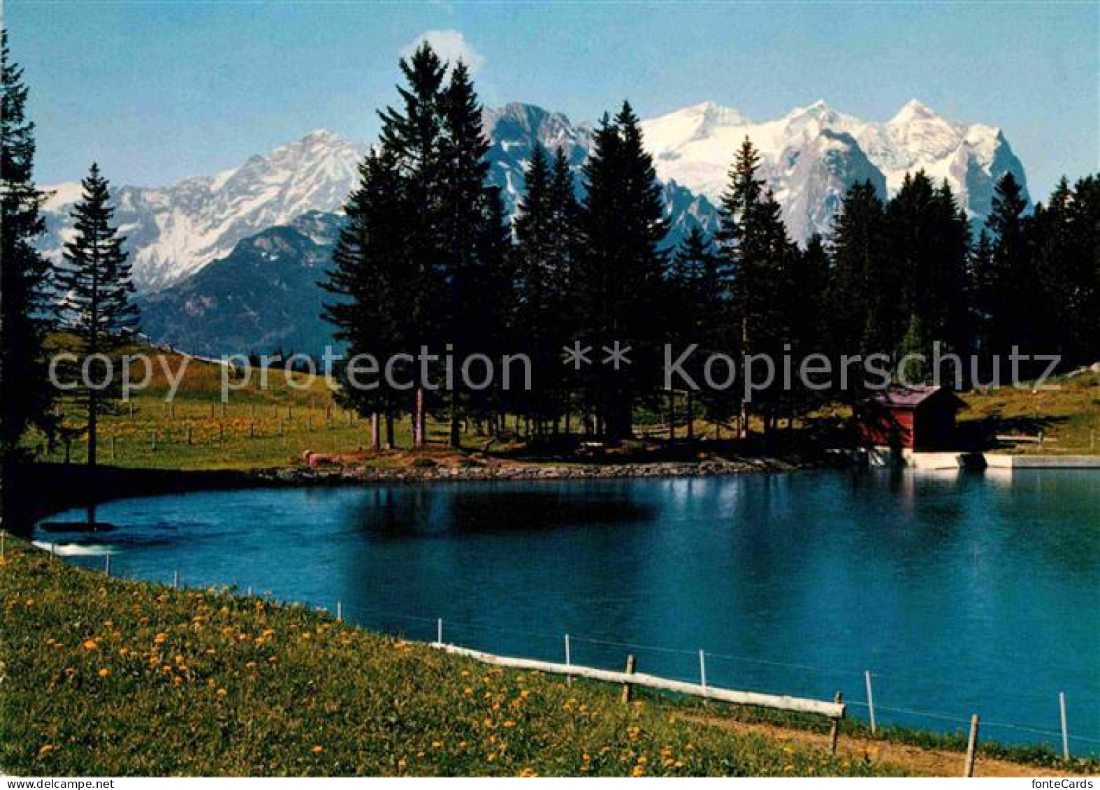 12719869 Hasliberg Bidmi Wetterhorngruppe Bergsee Berner Alpen Meiringen - Other & Unclassified