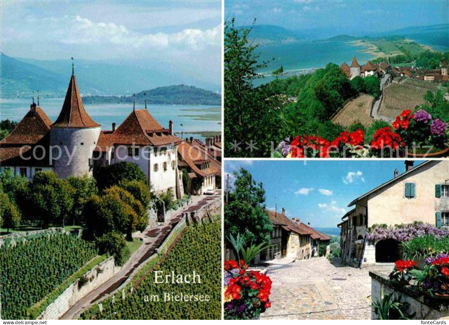12719867 Erlach BE Ortspartien Panorama Mit Bielersee Erlach BE - Other & Unclassified