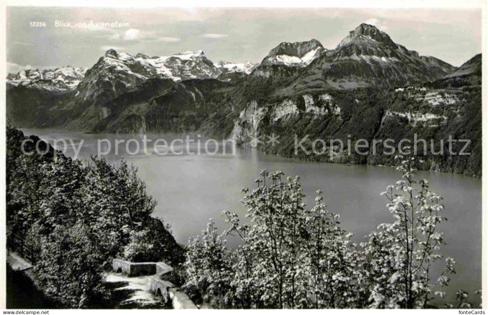 12719827 Morschach Panorama Blick Vom Axenstein Vierwaldstaettersee Alpen Morsch - Other & Unclassified