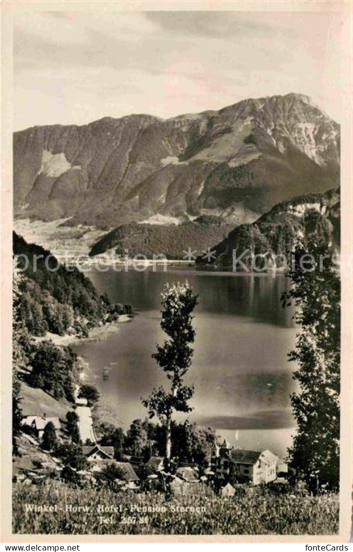 12719817 Horw Hotel Pension Sternen Vierwaldstaettersee Alpen Horw - Sonstige & Ohne Zuordnung