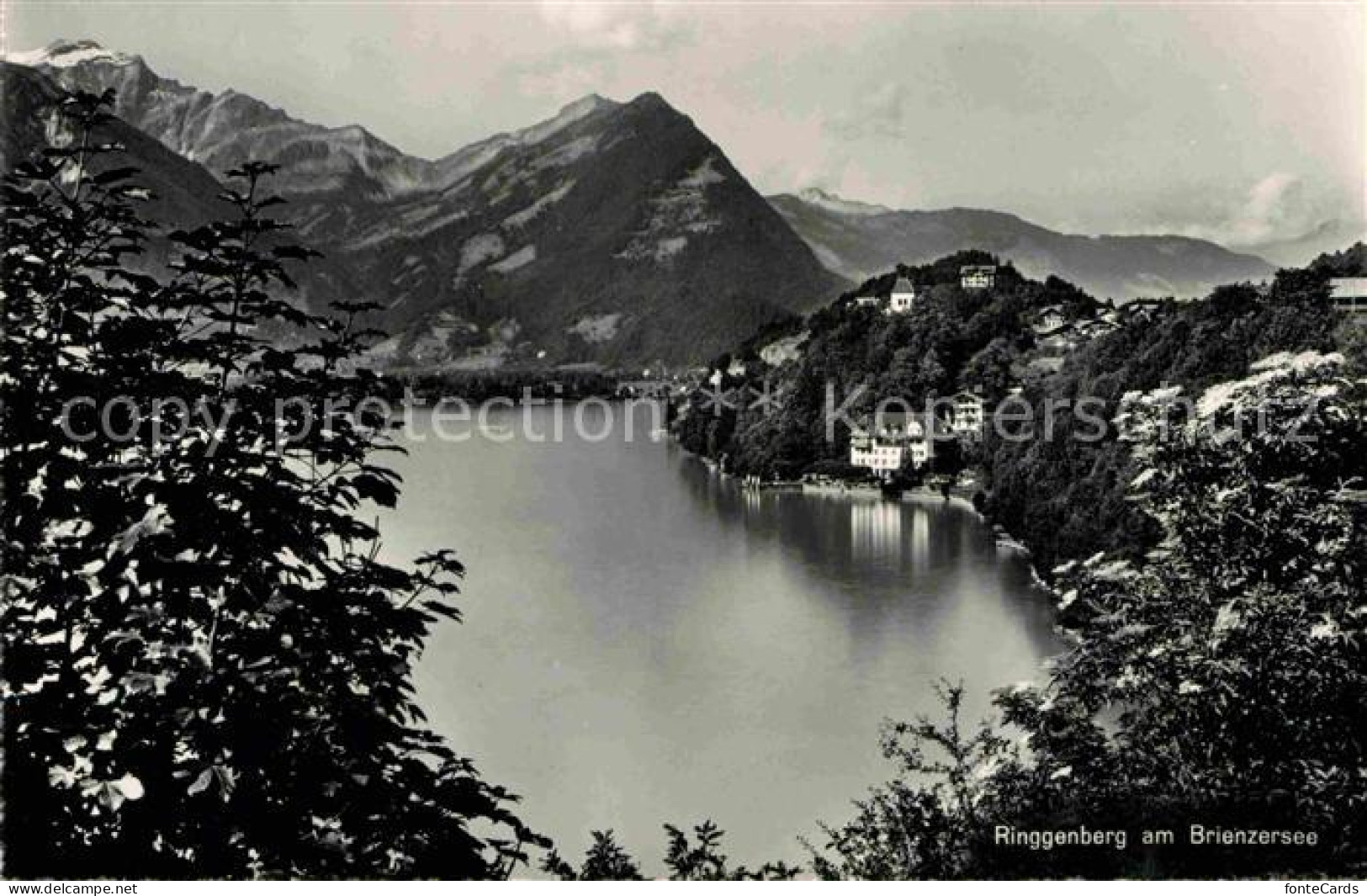 12719799 Ringgenberg Brienzersee Panorama Alpen Ringgenberg Brienzersee - Other & Unclassified