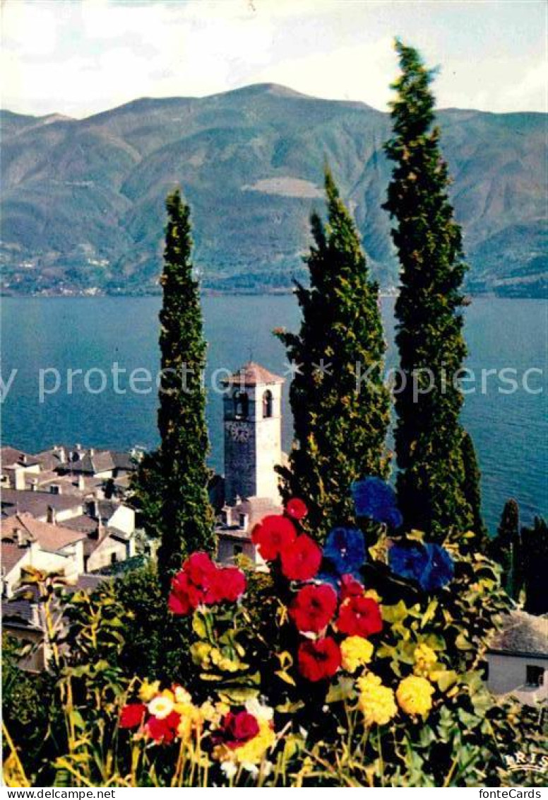 12719187 Brissago TI Kirchturm Ueber Lago-Maggiore Brissago - Andere & Zonder Classificatie