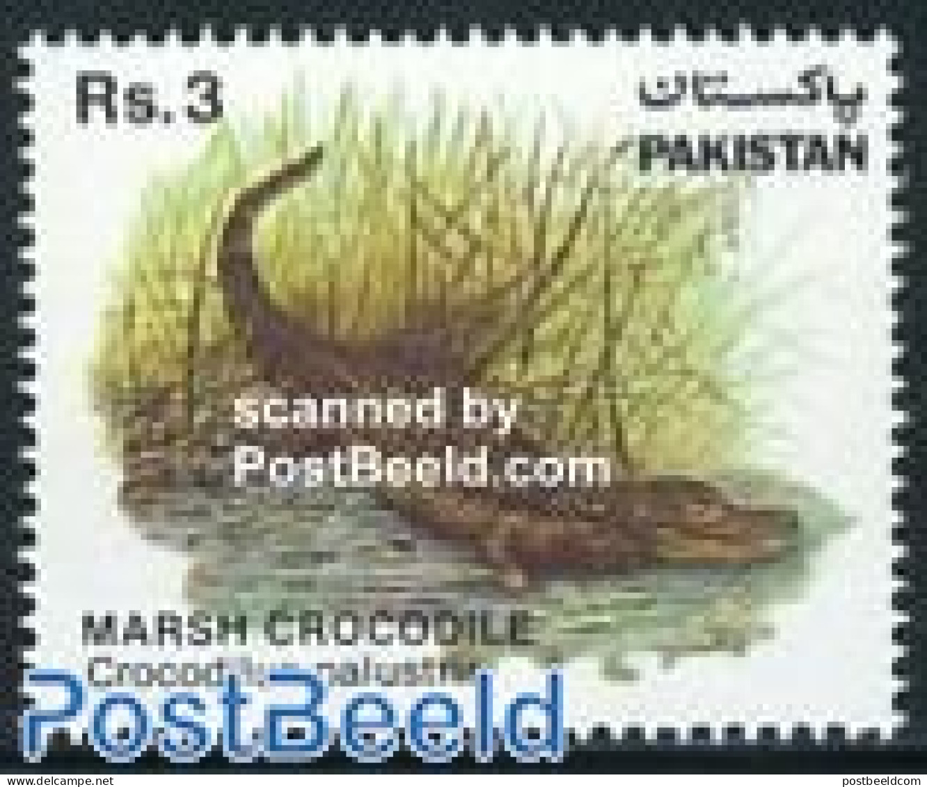 Pakistan 1983 Crocodile 1v, Mint NH, Nature - Crocodiles - Reptiles - Pakistan