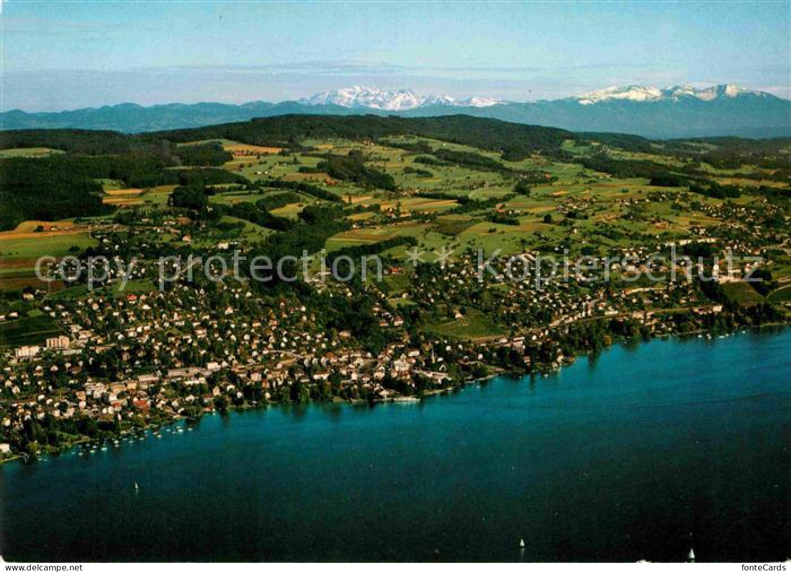 12716859 Erlenbach Zuerichsee Alpenkette Fliegeraufnahme Zuerich - Sonstige & Ohne Zuordnung