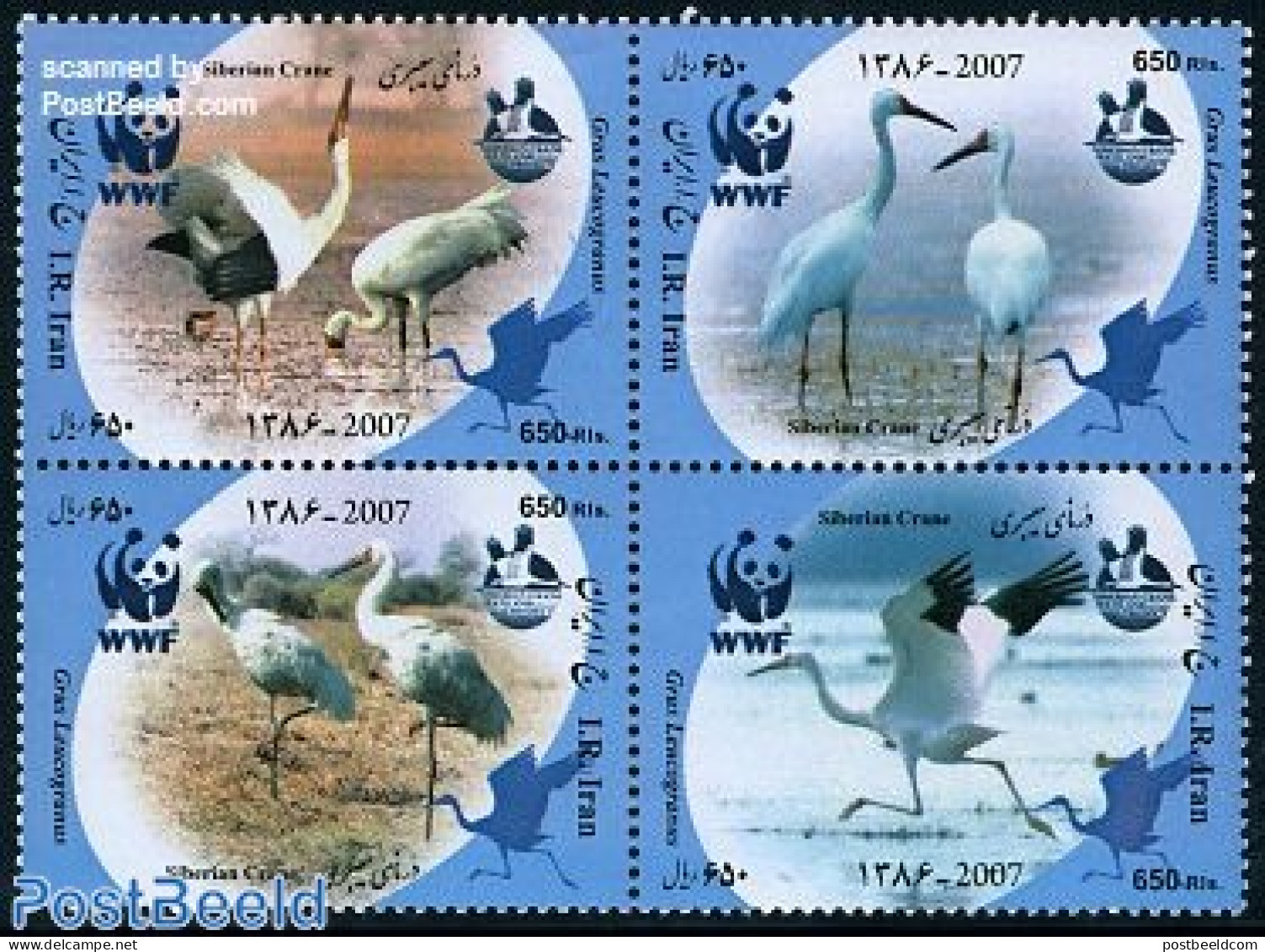 Iran/Persia 2007 WWF, Siberian Crane 4v [+], Mint NH, Nature - Birds - World Wildlife Fund (WWF) - Irán