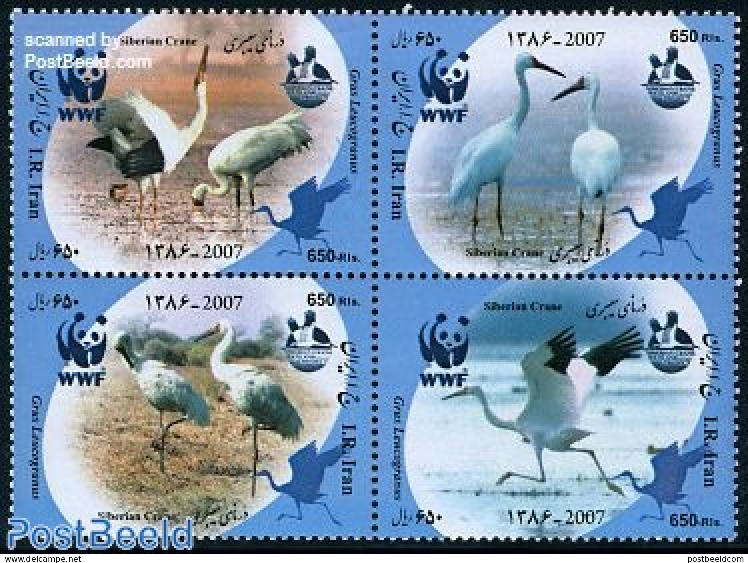 Iran/Persia 2007 WWF, Siberian Crane 4v [+], Mint NH, Nature - Birds - World Wildlife Fund (WWF) - Iran