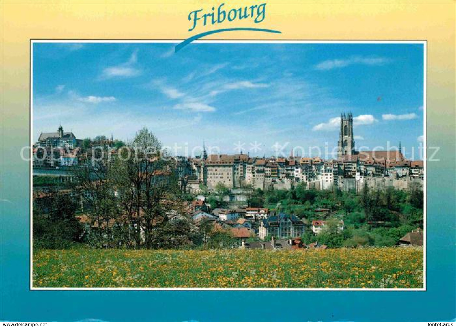 12715799 Fribourg FR Panorama Fribourg FR - Autres & Non Classés