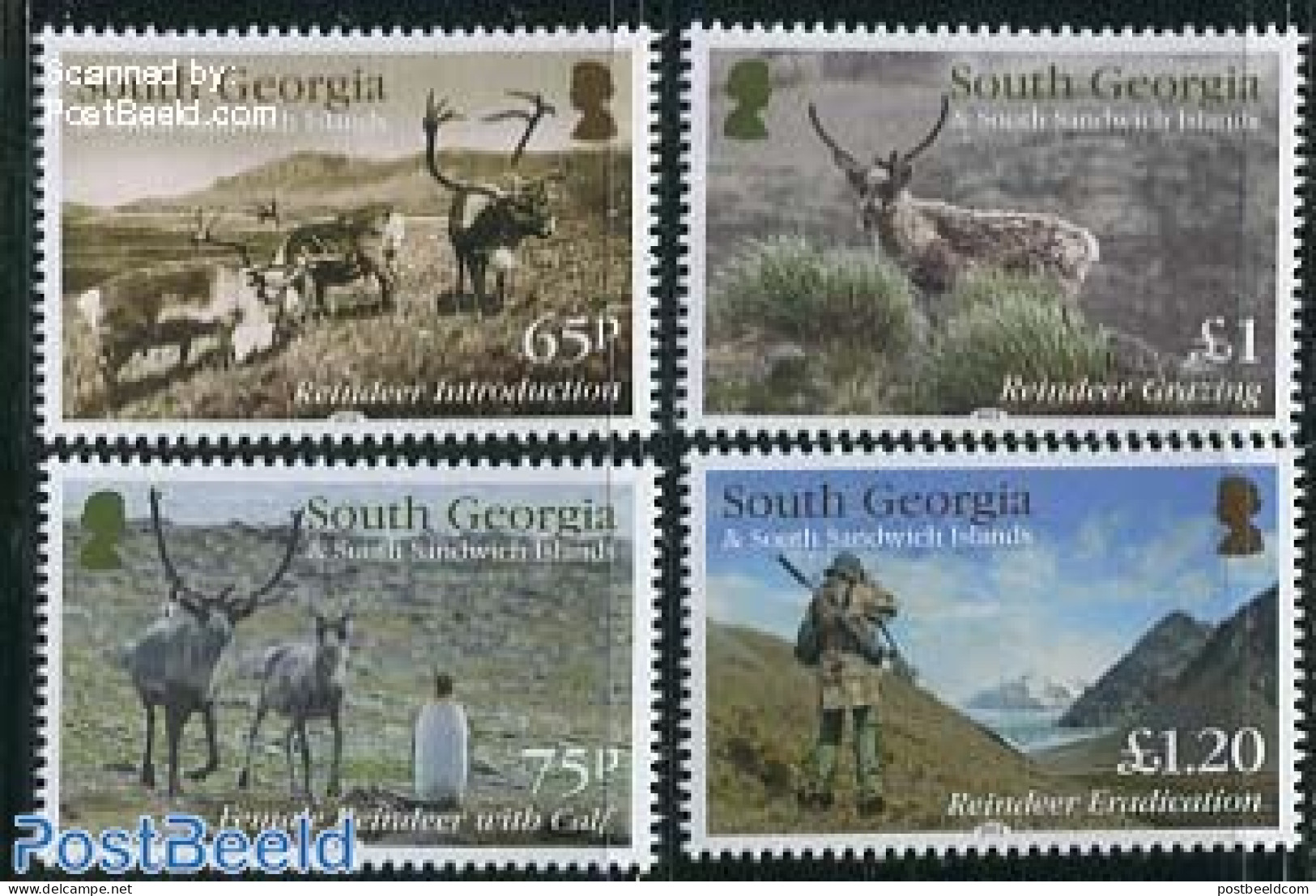 South Georgia / Falklands Dep. 2014 Reindeer Population 4v, Mint NH, Nature - Animals (others & Mixed) - Deer - Huntin.. - Autres & Non Classés