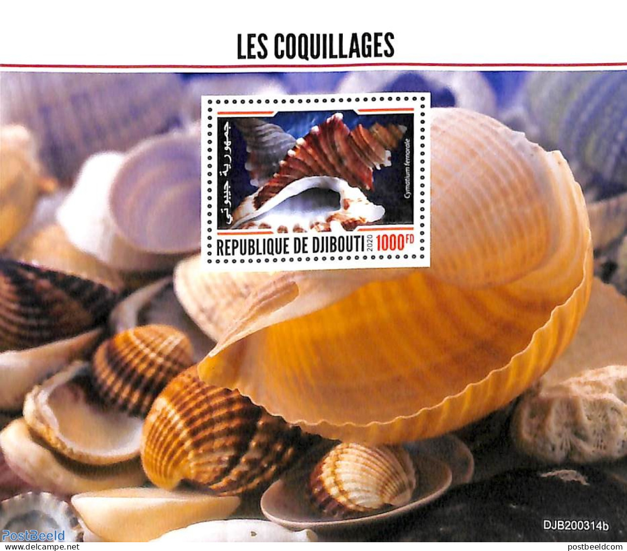 Djibouti 2020 Shells S/s, Mint NH, Nature - Shells & Crustaceans - Meereswelt