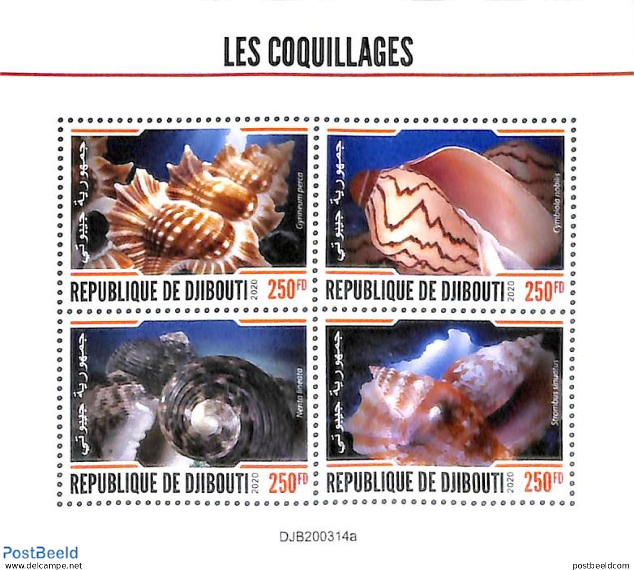 Djibouti 2020 Shells 4v M/s, Mint NH, Nature - Shells & Crustaceans - Vie Marine