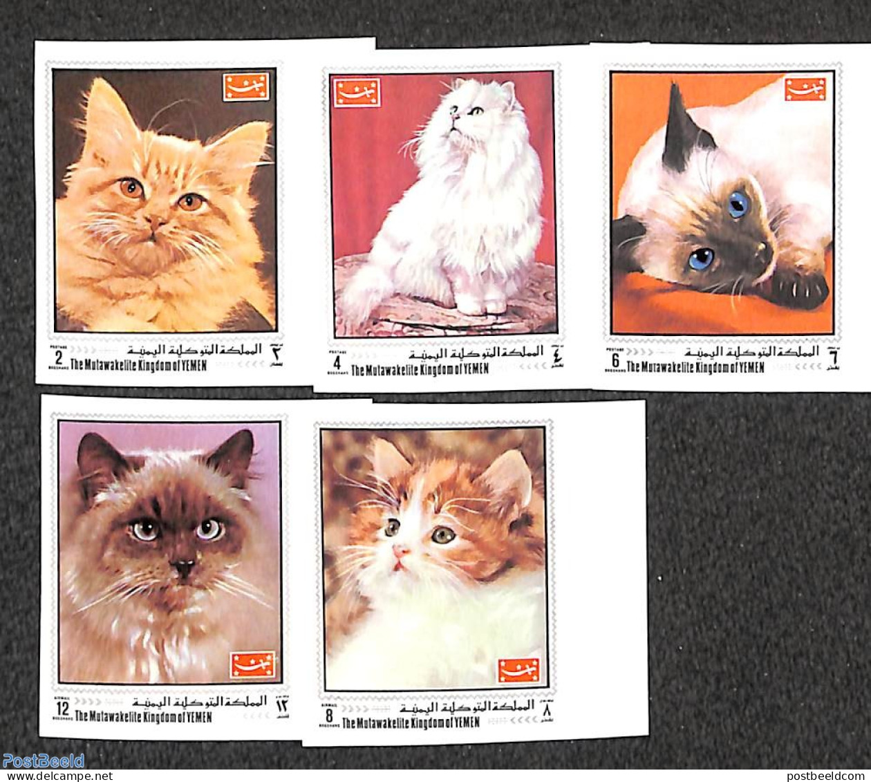 Yemen, Kingdom 1970 Cats 5v, Imperforated, Mint NH, Nature - Cats - Sonstige & Ohne Zuordnung