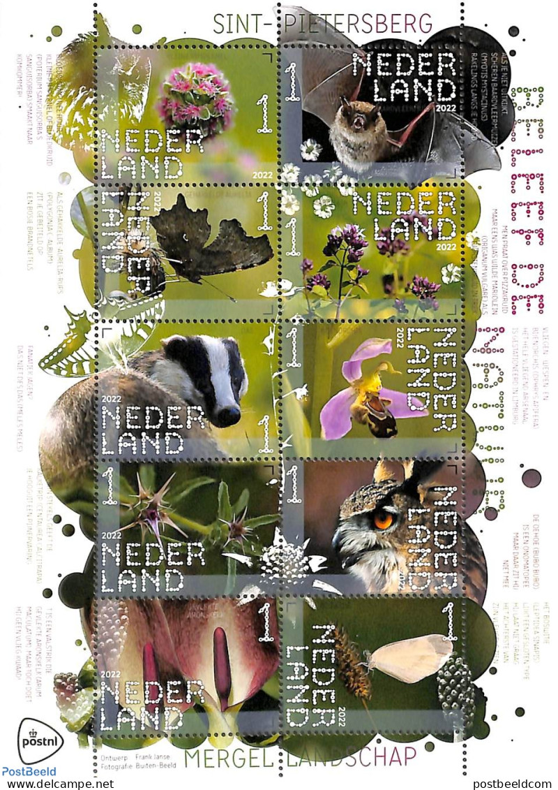 Netherlands 2022 Sint Pietersberg 10v M/s S-a, Mint NH, Nature - Bats - Birds - Flowers & Plants - Nuovi