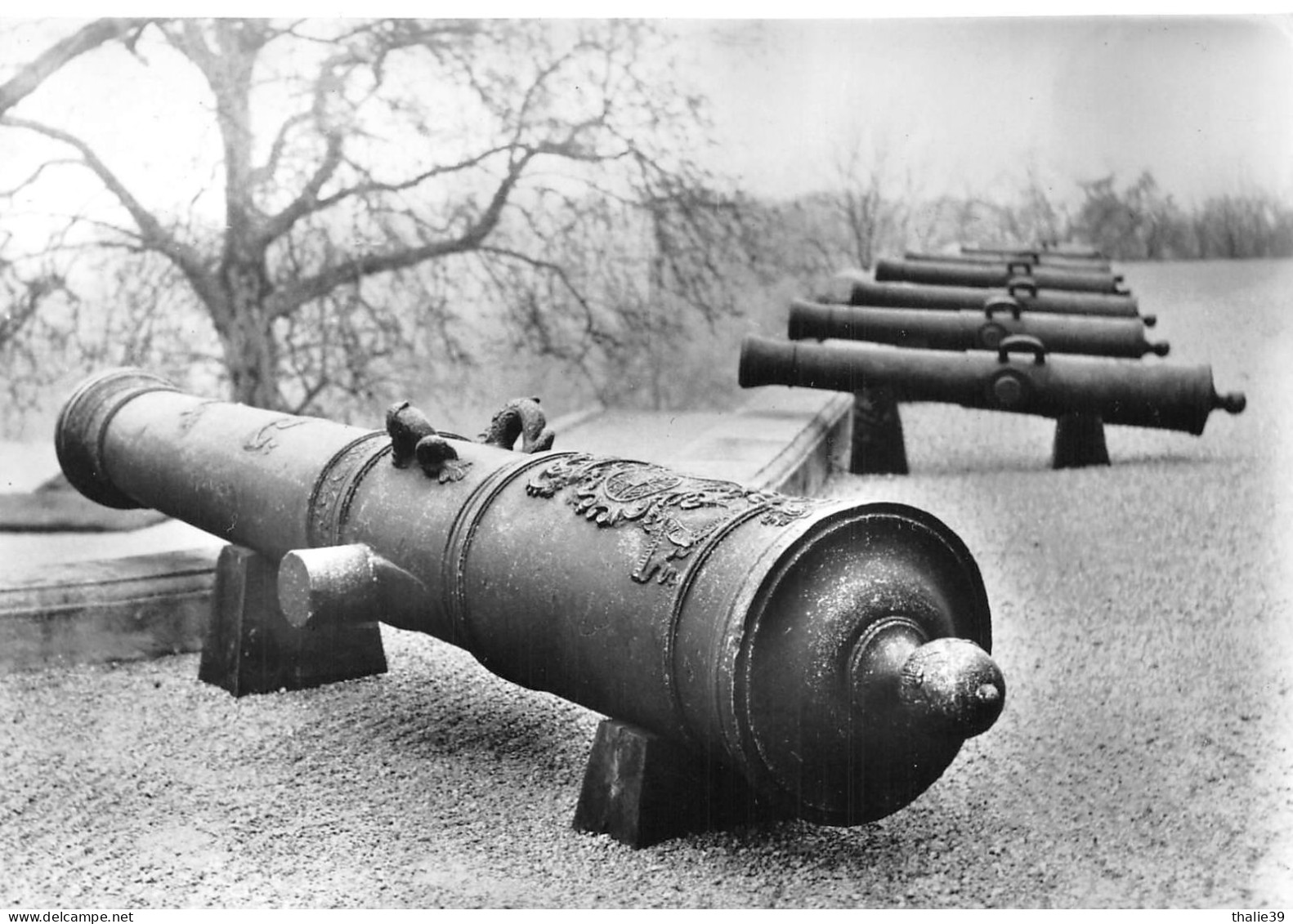 Le Creusot Château De La Verrerie Canons - Le Creusot