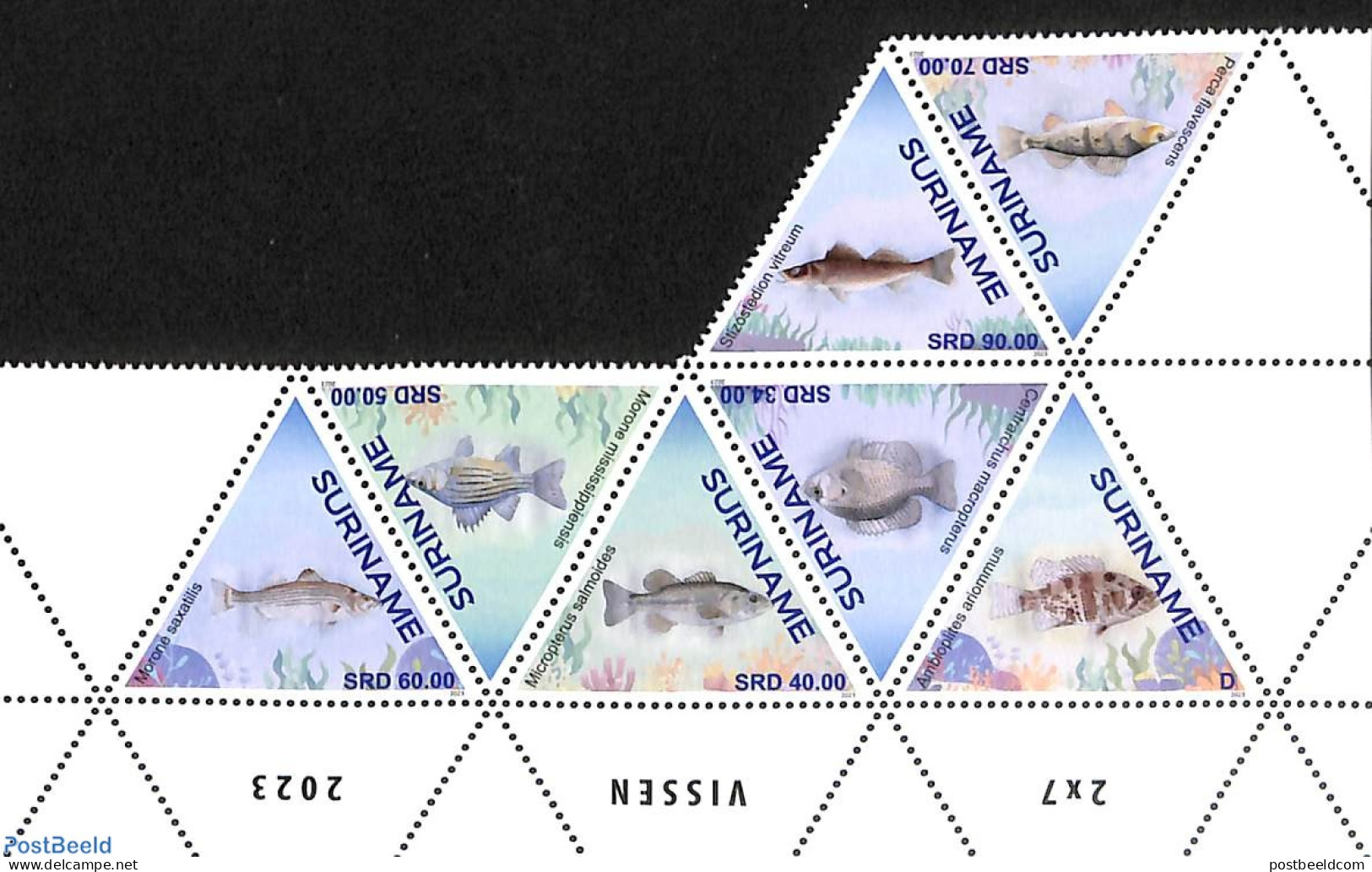 Suriname, Republic 2023 Fish 7v, Mint NH, Nature - Fish - Pesci