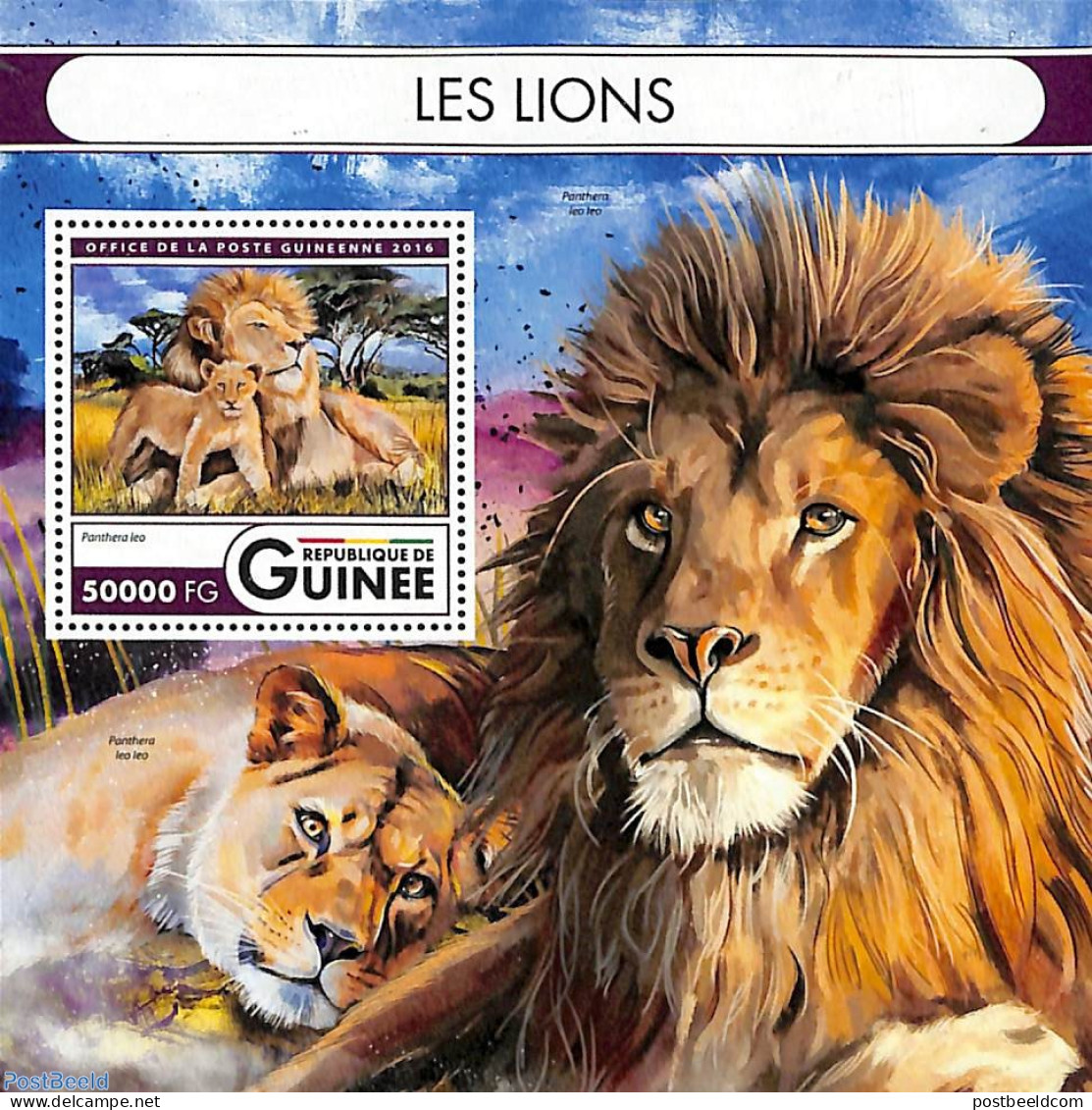 Guinea, Republic 2016 Lions S/s, Mint NH, Nature - Cat Family - Sonstige & Ohne Zuordnung