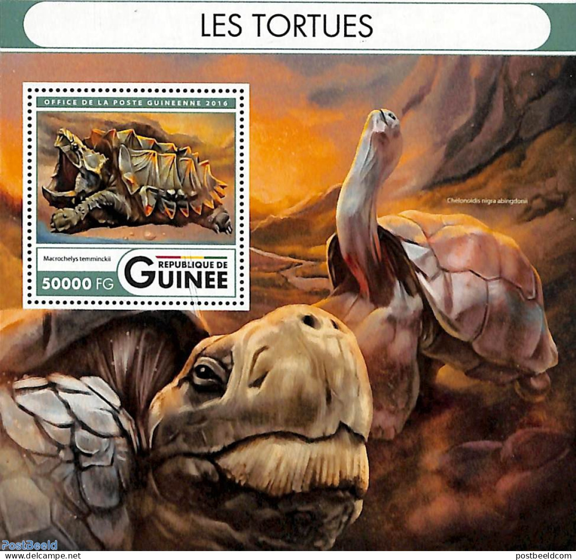 Guinea, Republic 2016 Turtles S/s, Mint NH, Nature - Reptiles - Turtles - Sonstige & Ohne Zuordnung