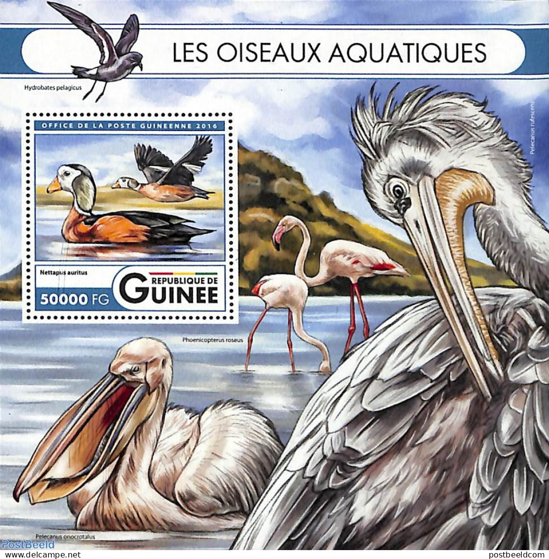 Guinea, Republic 2016 Waterbirds S/s, Mint NH, Nature - Birds - Ducks - Altri & Non Classificati