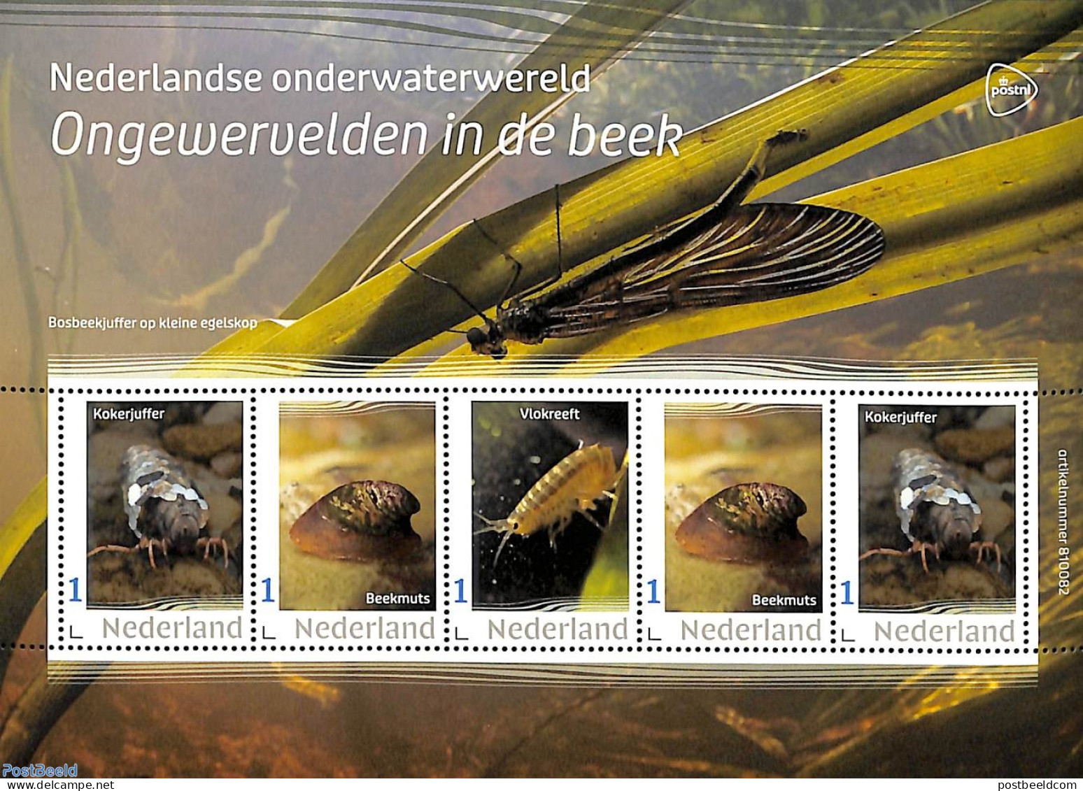 Netherlands - Personal Stamps TNT/PNL 2023 Underwaterworld 5v M/s, Mint NH, Nature - Animals (others & Mixed) - Other & Unclassified