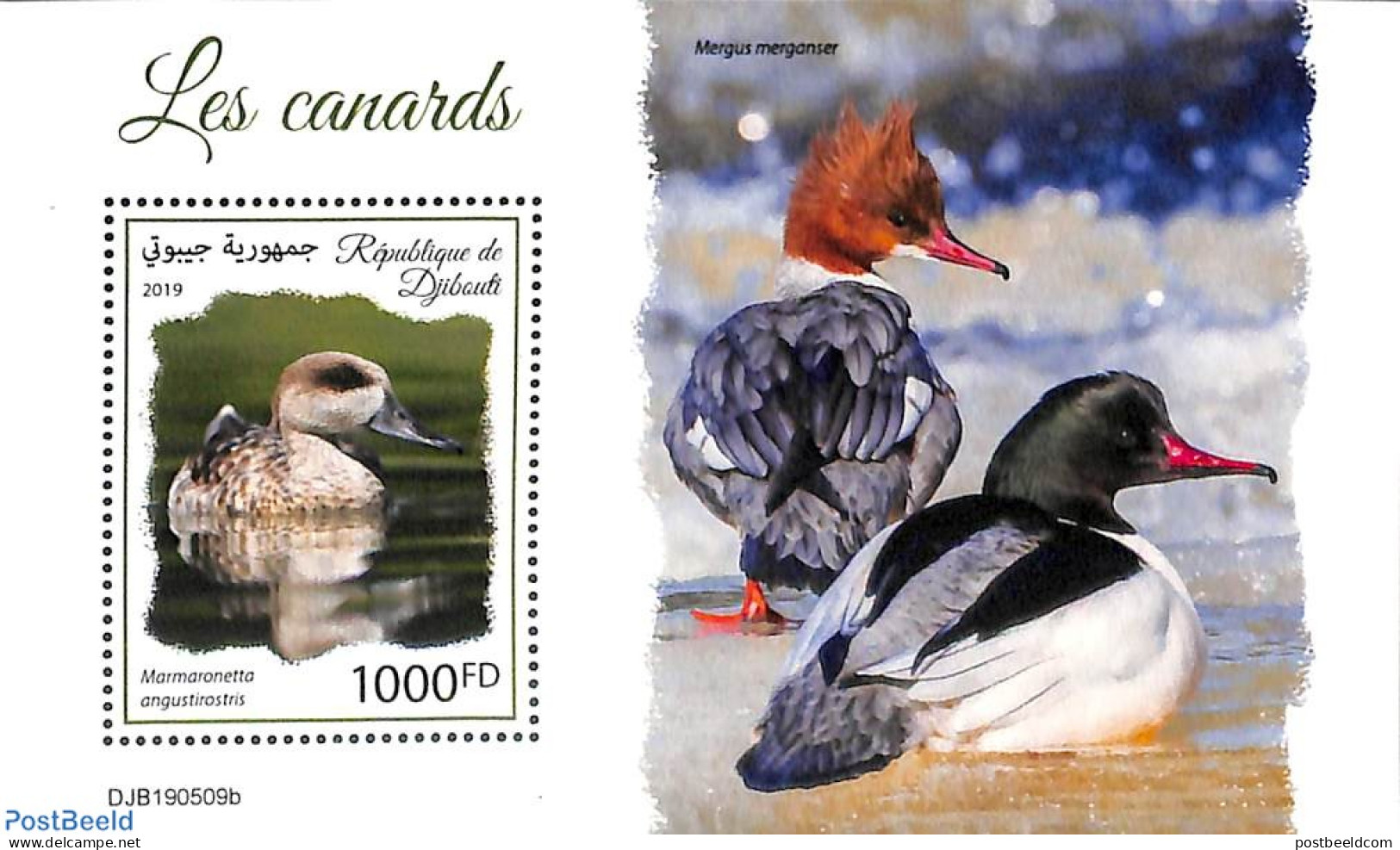 Djibouti 2019 Ducks S/s, Mint NH, Nature - Birds - Ducks - Djibouti (1977-...)