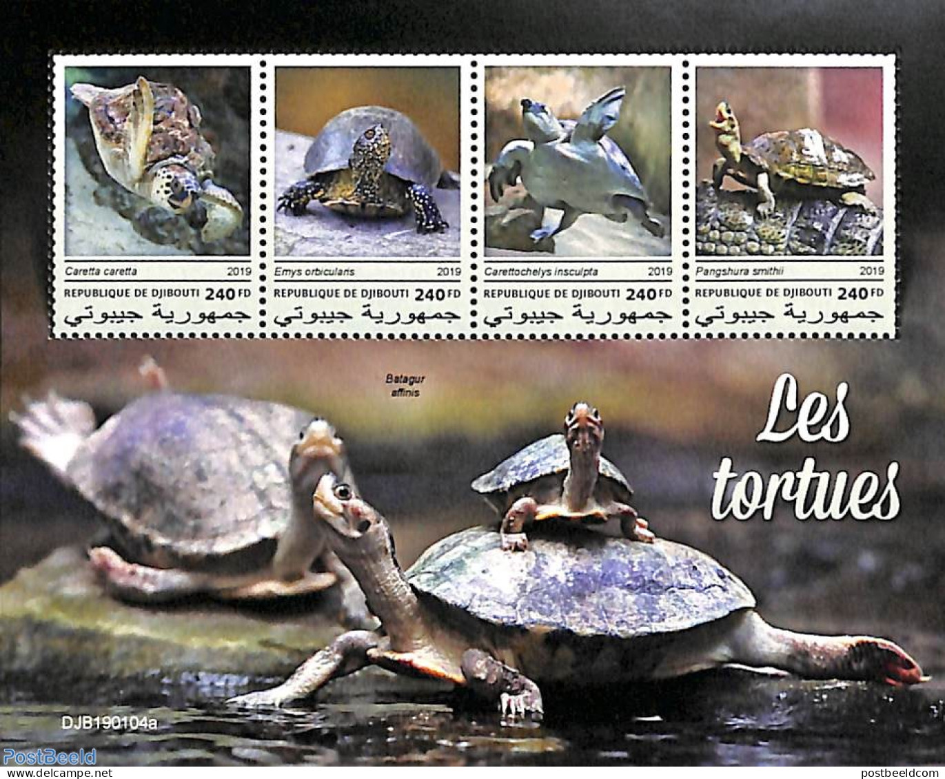 Djibouti 2019 Turtles 4v M/s, Mint NH, Nature - Reptiles - Turtles - Djibouti (1977-...)