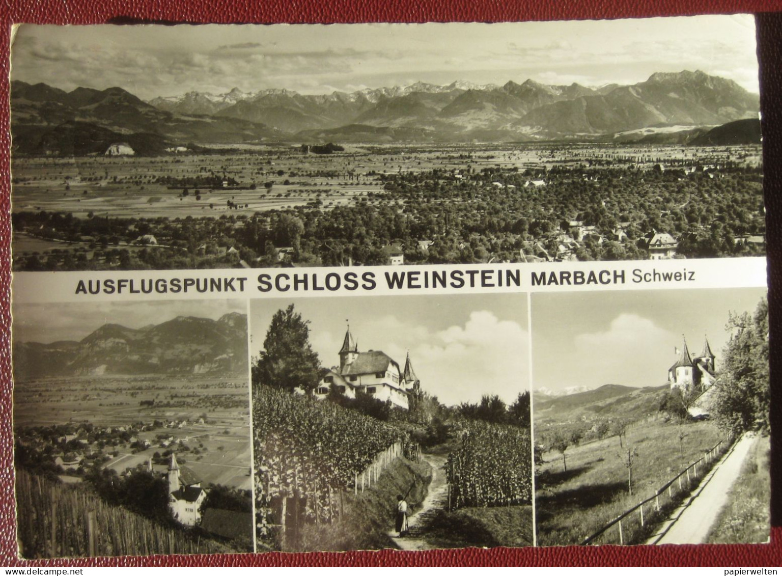 Marbach (SG) - Mehrbildkarte "Ausflugspunkt Schloss Weinstein Marbach Schweiz" / Destination An Schiff MS Brasilia - Sonstige & Ohne Zuordnung
