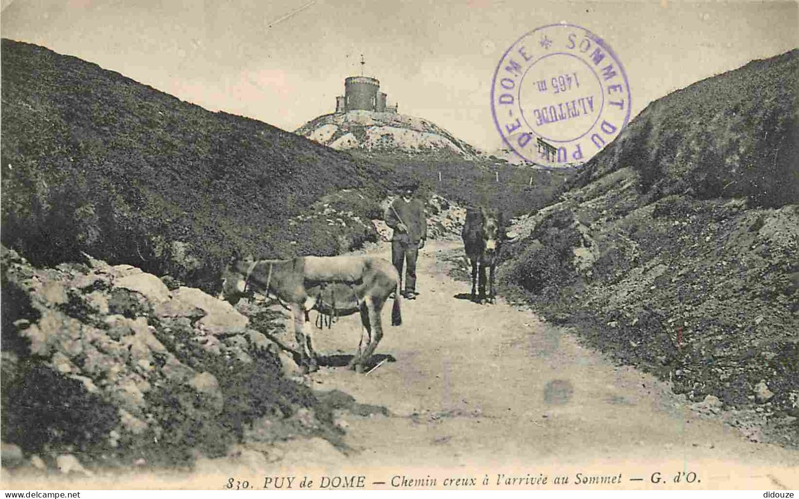 63 - Puy De Dome - Chemin Reux à L'arrivée Du Sommet - Animée - Anes - CPA - Voir Scans Recto-Verso - Andere & Zonder Classificatie