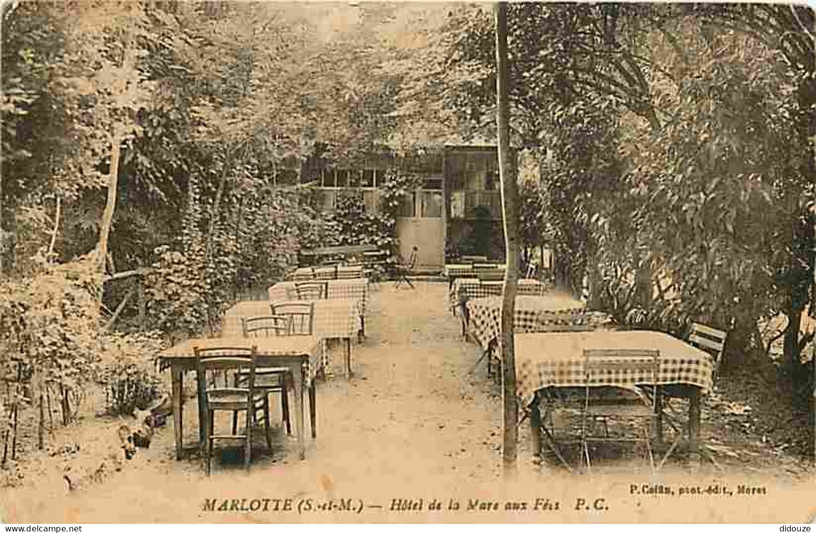 77 - Marlotte - Hotel De La Mare Aux Fées - CPA - Voir Scans Recto-Verso - Autres & Non Classés