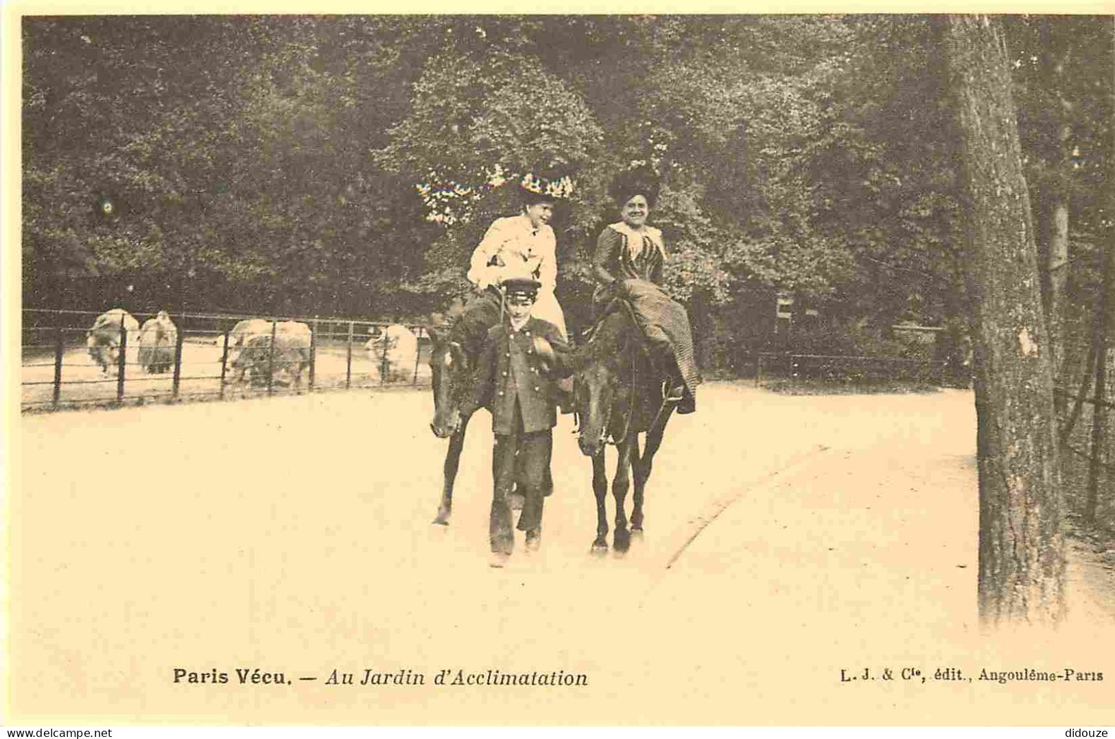 Reproduction CPA - 75 Paris - Paris Vécu - Au Jardin D'Acclimatation - Chevaux - C'était La France - No 82 - CPM Format  - Otros & Sin Clasificación