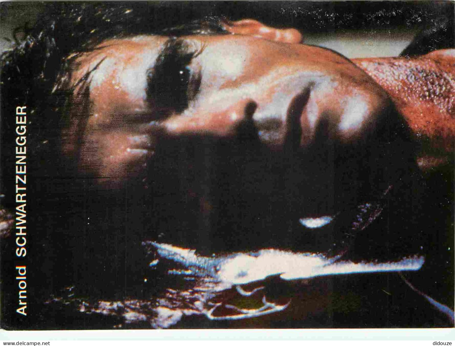 Cinema - Acteurs - Arnold Schwartzenegger - CPM - Voir Scans Recto-Verso - Acteurs