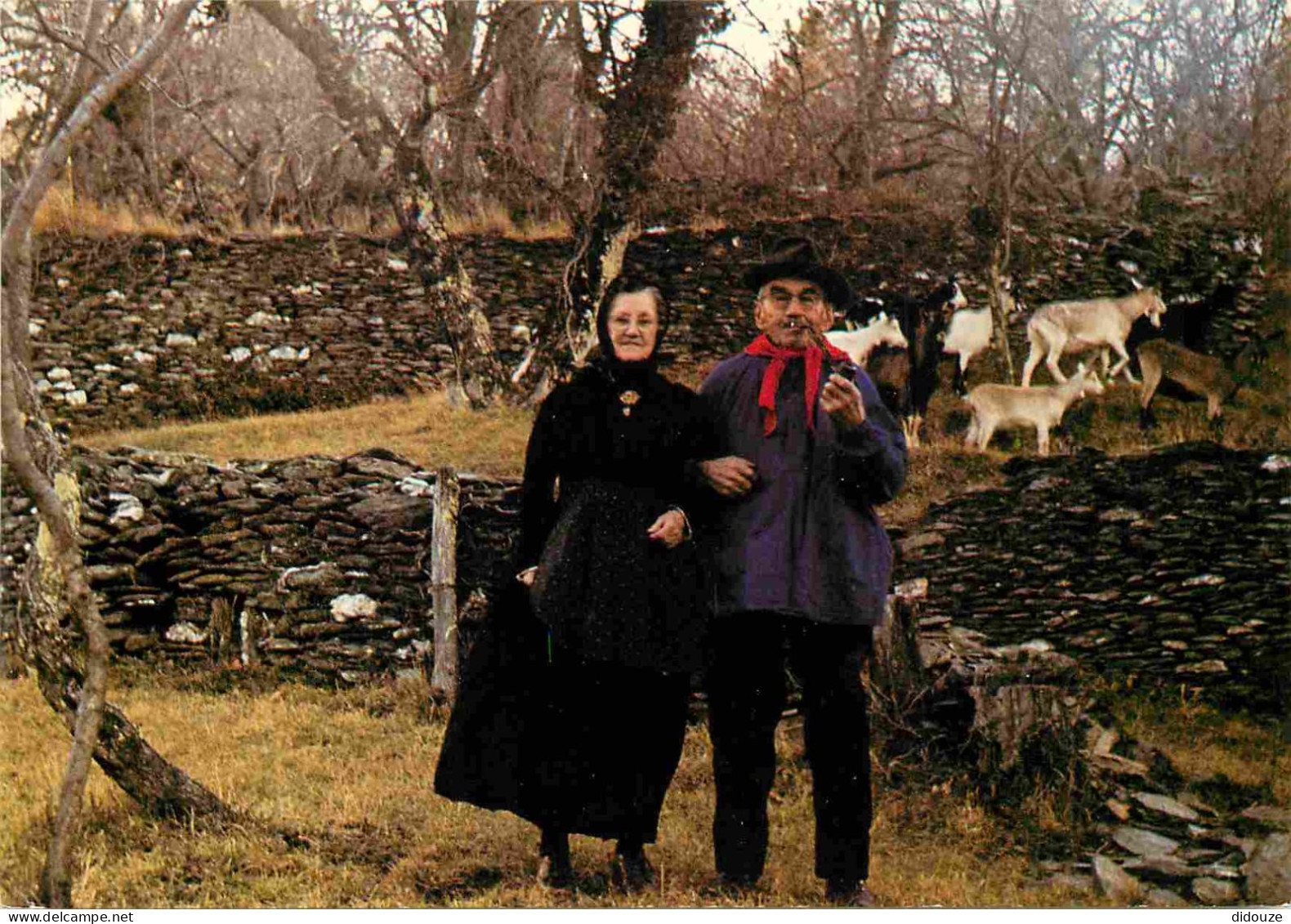 Folklore - Cévennes - A Travers Les Cévennes - Couple Cévenol En Costume Régional - Chèvres - CPM - Voir Scans Recto-Ver - Kostums