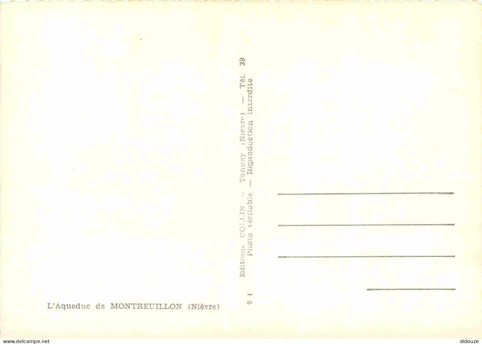 58 - Montreuillon - L'Aqueduc - Mention Photographie Véritable - Carte Dentelée - CPSM Grand Format - Voir Scans Recto-V - Autres & Non Classés